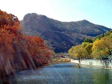 新澳天天开奖资料大全旅游团，美味咖啡